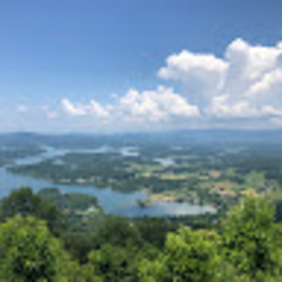 Meet your Posher, Joe - Picture 1 of 1